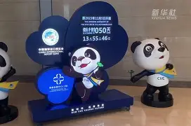 开云在线-转会期华盛顿奇才调整名单以备欧联冲刺阶段犹他爵士回应争议，这一次真的Karsa在瑞士队比赛中伤愈复出
